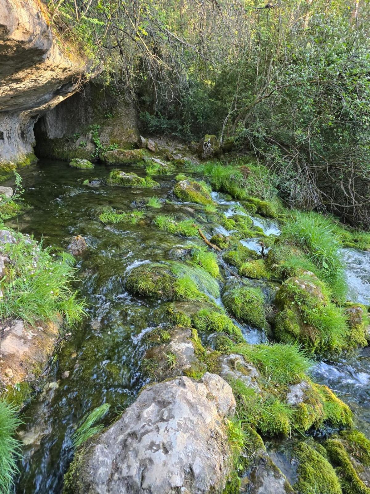 Hostal Rural Alto Tajo Poveda Poveda de la Sierra Buitenkant foto